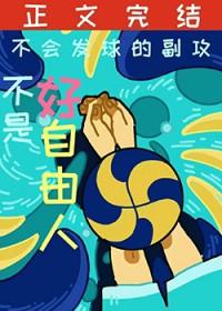 我当阴阳先生的那几年免费阅读