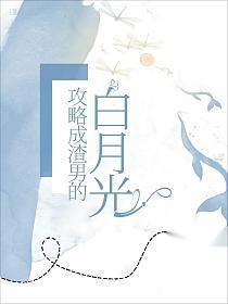 暴压天下番茄小
